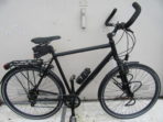 Thröler XVL met Rohloff en vering nr. 6989