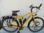 Santos TM 2.9, vakantiefiets met Rohloff, Belt, Son 28 nr. 6540
