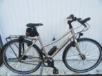 Lichte Santos Trekking Lite, Rohloff, Belt, Son 28 64219